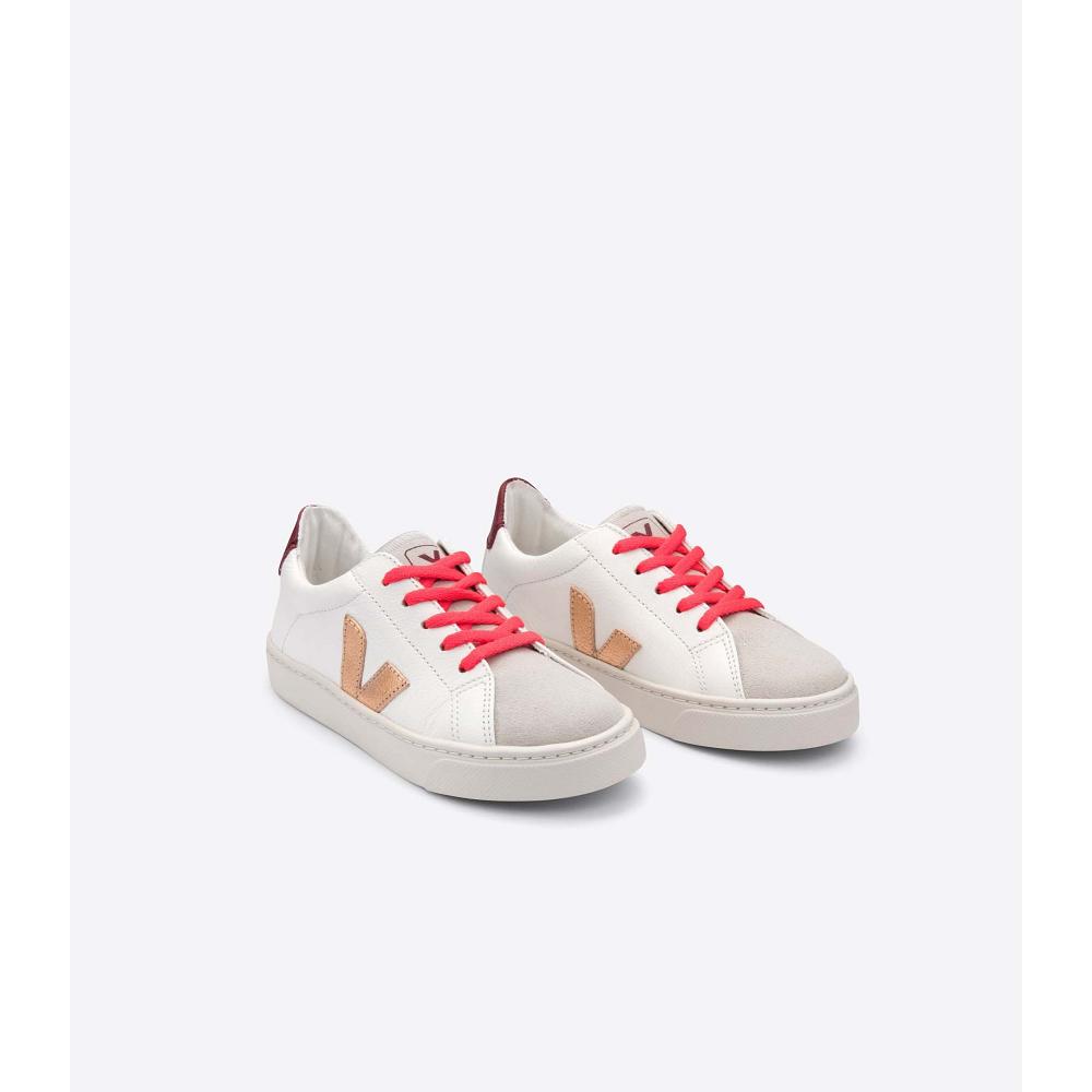 Kids' Veja ESPLAR LEATHER Sneakers Gold/Red/White | SG 810OKI